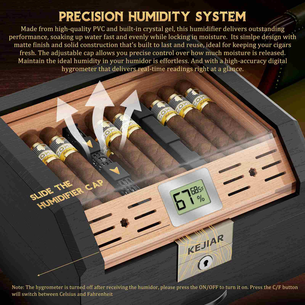 Cedar Humidor — 60 Count Glass-Top