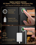 Electric Humidor Cabinet — 300 Count