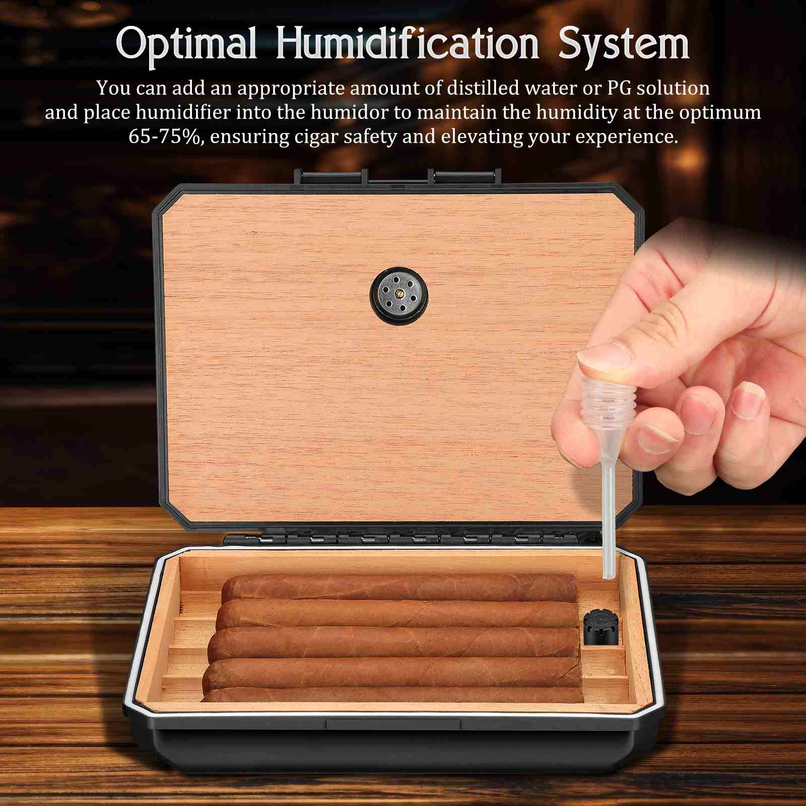 Gift Set — Travel Essentials (B)