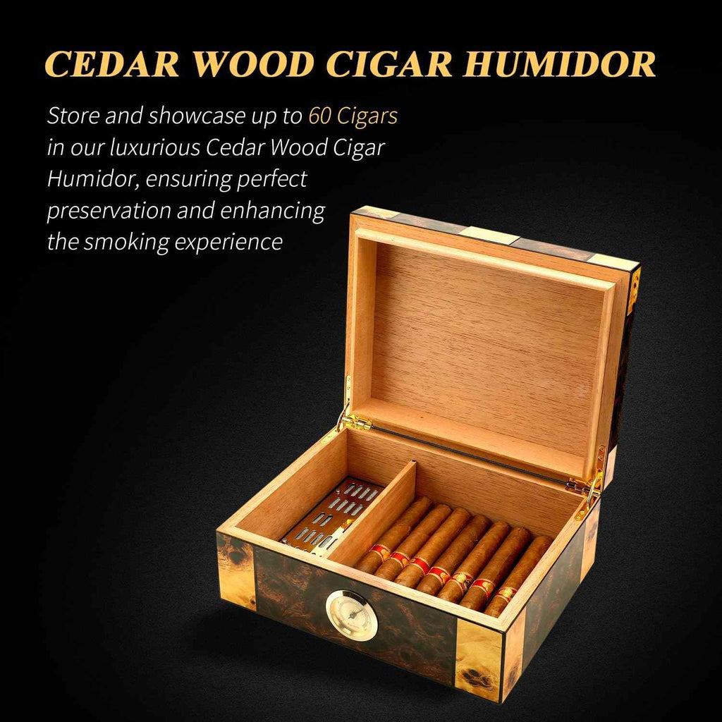 Piano Lacquer Desktop Humidor — 60 Count